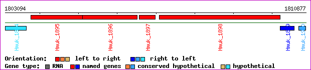 gene map