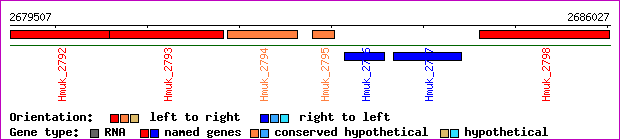 gene map