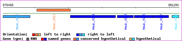 gene map
