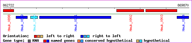 gene map