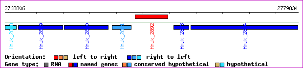 gene map