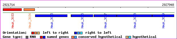 gene map