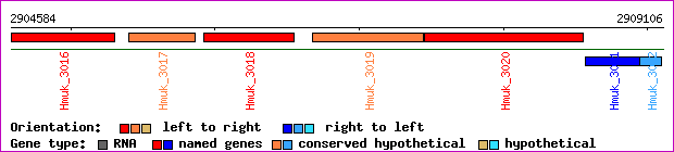 gene map