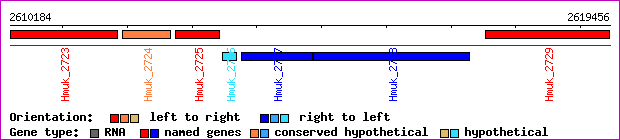 gene map