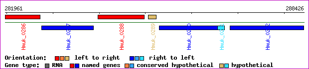 gene map