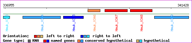 gene map
