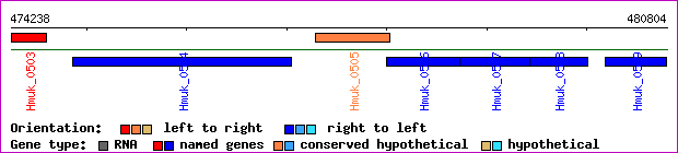gene map