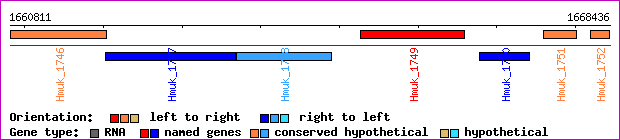 gene map