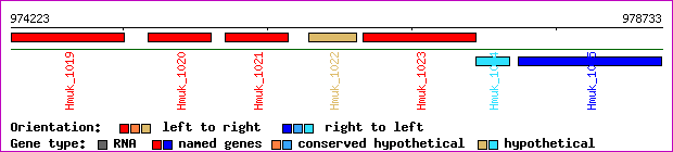 gene map