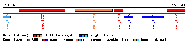 gene map
