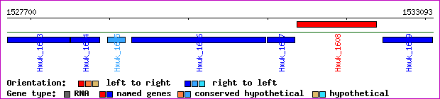 gene map