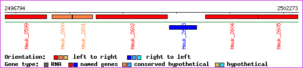 gene map