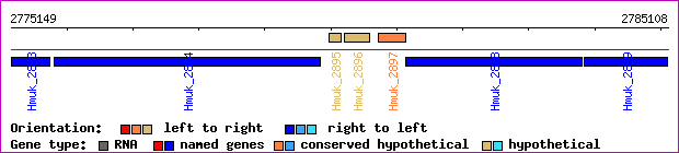 gene map