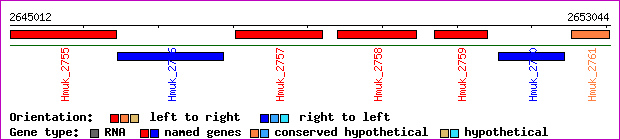 gene map