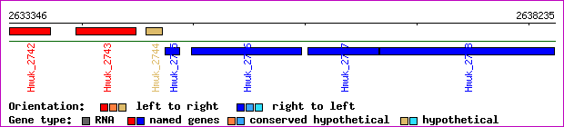 gene map