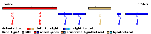 gene map