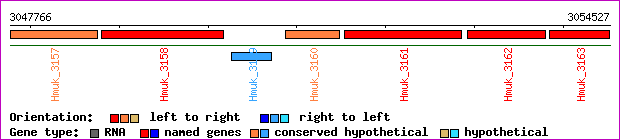 gene map