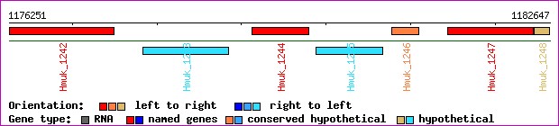 gene map