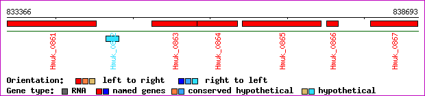 gene map