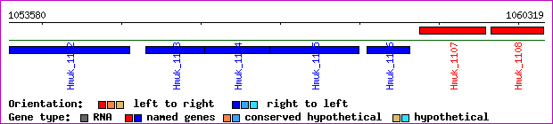 gene map