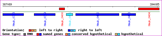 gene map