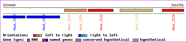 gene map
