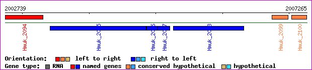 gene map
