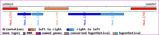gene map