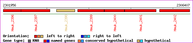 gene map