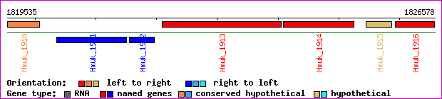 gene map