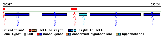 gene map