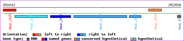 gene map