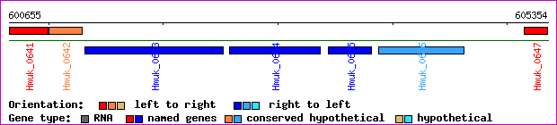 gene map