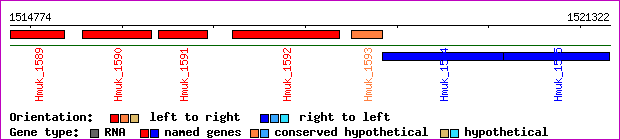 gene map