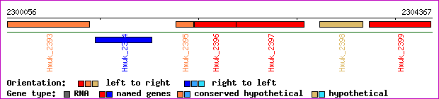 gene map