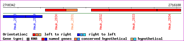 gene map