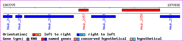gene map