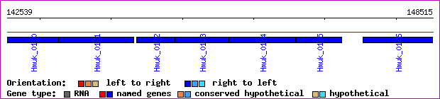 gene map