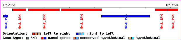 gene map