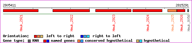 gene map