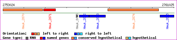 gene map