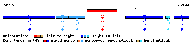 gene map