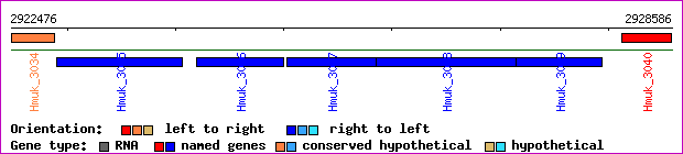 gene map