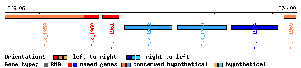 gene map