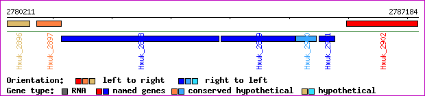 gene map