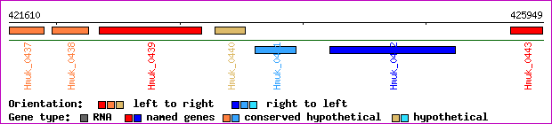 gene map