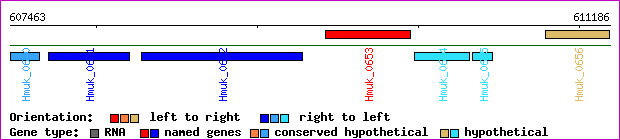 gene map