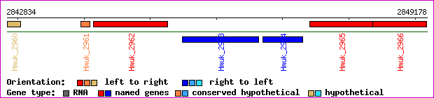 gene map