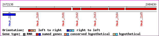 gene map