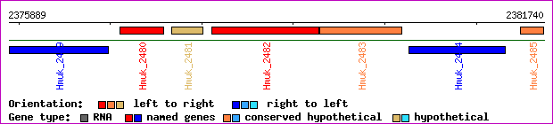 gene map